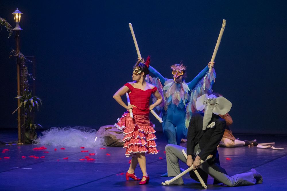 imatge de El Carnaval dels Animals. Foto: Rafael Casanova