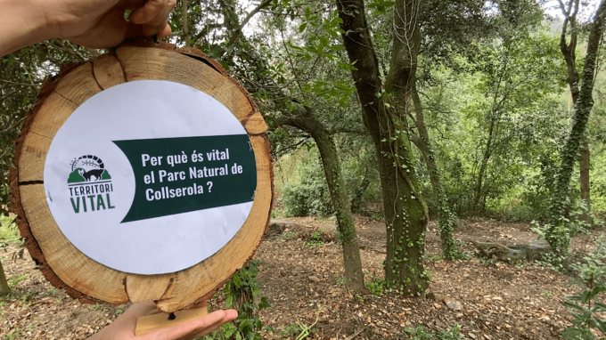 Imatge Per què és vital Collserola? 