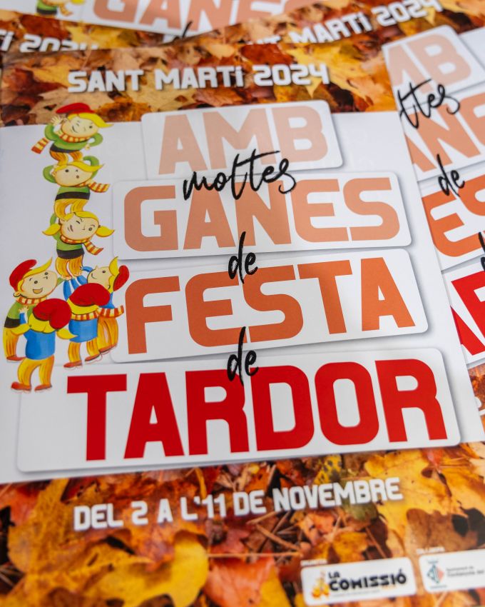 Foto cartell Festa Sant Martí