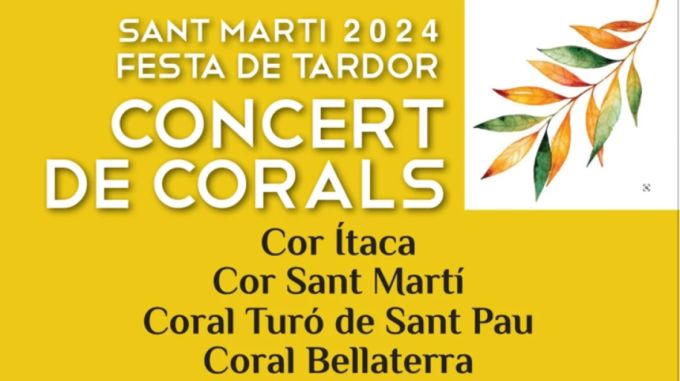 cartell del concert