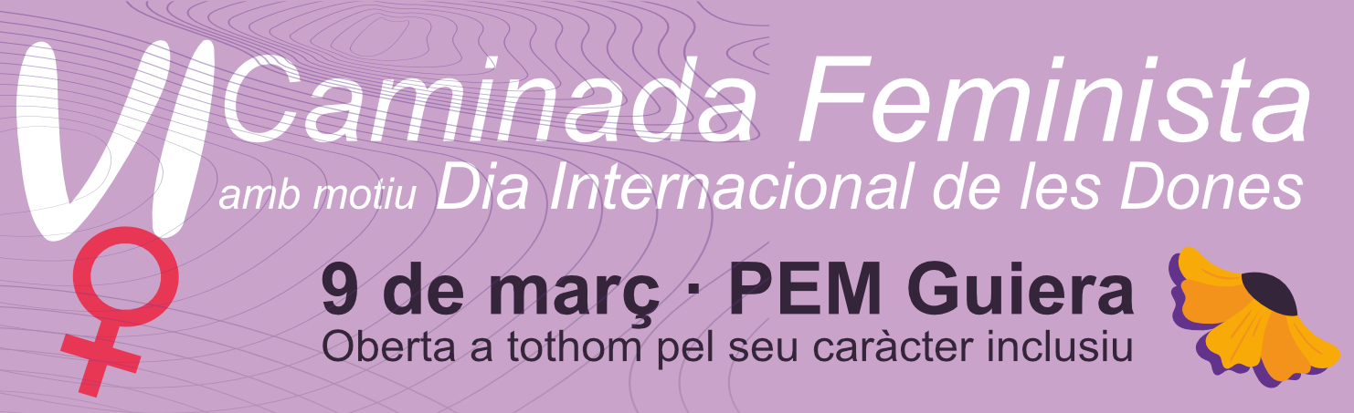 Banner Caminada Feminista