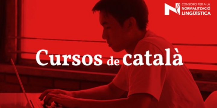 Imatge Cursos Català