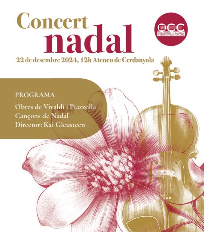 cartell del concert