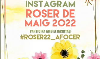 Cartell VI Concurs Instagram Roser de Maig 2022